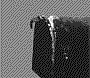 email-animales-011.gif