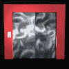 email-animales-015.gif