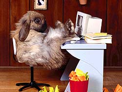 programadores-047.jpg