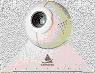 webcam-002.gif