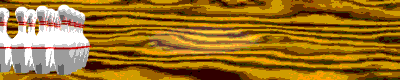 bolos-014.gif