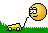 miscelanea-349.gif