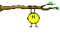 miscelanea-470.gif