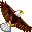 aguila-006.jpg