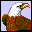 aguila-008.gif