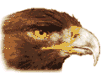 aguila-010.gif