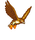 aguila-011.gif