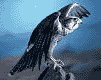 aguila-014.gif