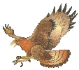 aguila-020.gif