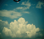 aguila-031.gif