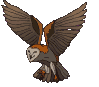 buho-017.gif