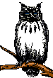 buho-027.gif
