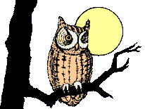 buho-037.gif