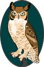 buho-043.jpg