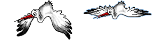 ciguenya-002.gif