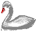 cisne-004.gif