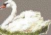 cisne-007.gif