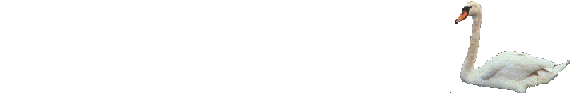 cisne-010.gif