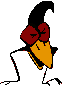 cuervo-006.gif