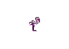 flamenco-004.gif