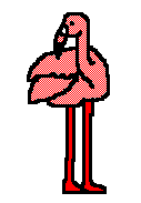 flamenco-011.gif