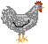 gallina-023.gif