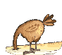 gallina-027.gif