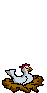 gallina-039.gif