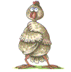 gallina-042.gif