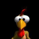 gallina-056.jpg