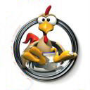 gallina-058.jpg