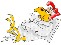 gallina-067.gif