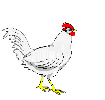 gallina-073.gif
