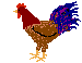 gallo-006.gif