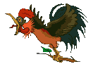 gallo-010.gif