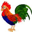 gallo-011.gif