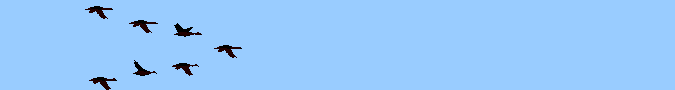 ganso-002.gif