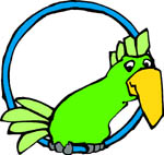 loro-papagallo-025.jpg