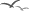 pajaros-miscelanea-001.gif
