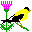 pajaros-miscelanea-019.gif