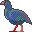 pajaros-miscelanea-044.jpg