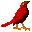 pajaros-miscelanea-049.jpg