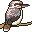 pajaros-miscelanea-051.jpg