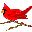 pajaros-miscelanea-056.jpg