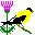 pajaros-miscelanea-059.jpg