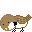 pajaros-miscelanea-068.gif