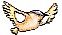 pajaros-miscelanea-079.gif