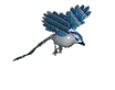 pajaros-miscelanea-093.gif