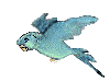 pajaros-miscelanea-107.gif