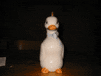 pajaros-miscelanea-108.gif